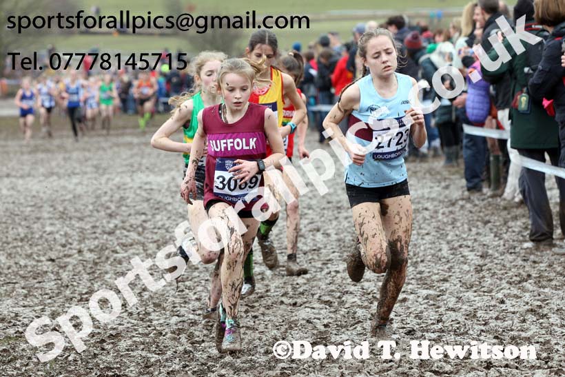 Girls under-13s 2018 British Inter Counties Cross Country Champs., Prestwold Hall, Loughborough. Photo: David T. Hewitson/Sports for All Pics